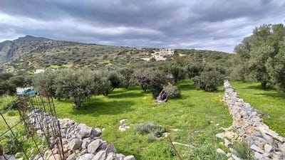 /international/gr/agios-nikolaos-thessaly-central-greece-120052839455/