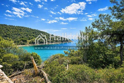 /international/gr/megali-panagia-macedonia-thrace-310108871249/