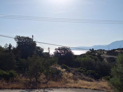 /international/gr/agios-nikolaos-crete-310108870897/