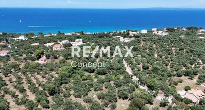 /international/gr/akrotiri-peloponnese-western-greece-and-ionian-310101284480/?lang=zh-cn