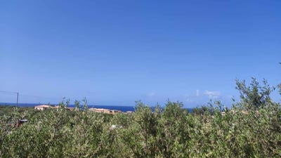 /international/gr/ano-riglia-peloponnese-western-greece-and-ionian-310101288521/?lang=zh-cn