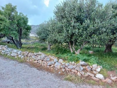 /international/gr/kato-zakros-crete-120085681298/