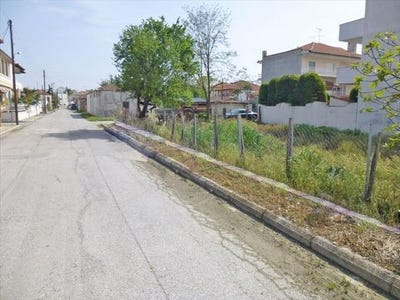 /international/gr/pieria-prefecture-makedonia-thrace-310103788483/