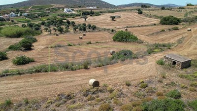 /international/gr/kato-sangri-south-aegean-310107026004/