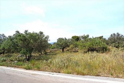 /international/gr/vamos-crete-310103787892/