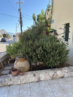 /international/gr/κουμπελης-crete-310100860210/?lang=en