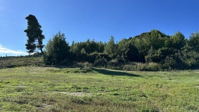/international/gr/chaniotis-macedonia-thrace-310108088602/