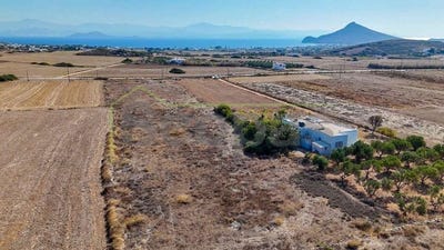 /international/gr/ampelas-aegean-310107025923/