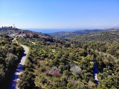 /international/gr/avlona-peloponnese-western-greece-and-ionian-310106576435/