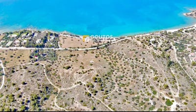 /international/gr/αγιος-νικολαος-peloponnese-western-greece-and-ionian-310100171306/