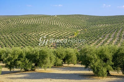 /international/gr/peloponnese-western-greece-and-ionian-310108789441/