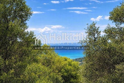 /international/gr/kassandra-macedonia-thrace-310108871047/