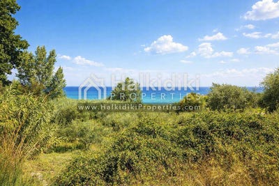 /international/gr/megali-panagia-macedonia-thrace-310108870860/