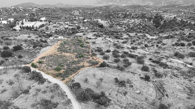 /international/gr/kroustas-crete-310106607070/