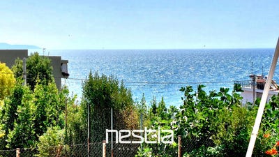 /international/gr/rafina-attica-310109433123/