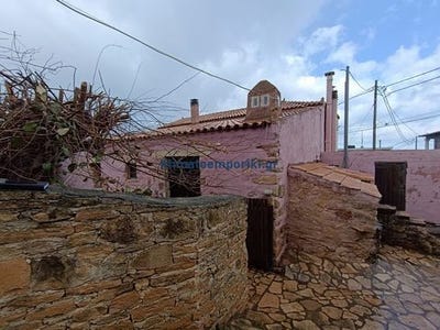 /international/gr/platania-crete-310101998336/