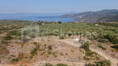 /international/gr/πετροβουνι-peloponnese-western-greece-and-ionian-310101188197/?lang=zh-cn