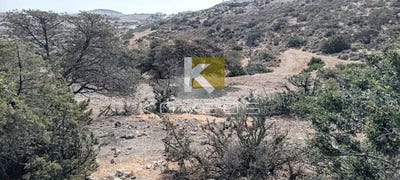 /international/gr/mesaria-aegean-310108291406/