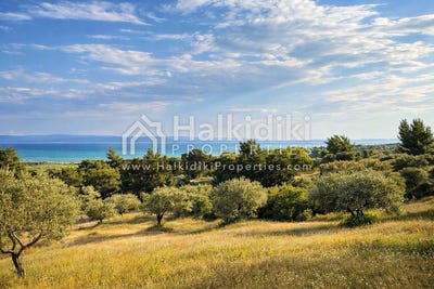 /international/gr/vourvourou-macedonia-thrace-310108871237/