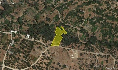/international/gr/agios-nikolaos-thessaly-central-greece-310107413843/