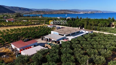 /international/gr/petrothalassa-ermionis-peloponnese-western-greece-and-ionian-120096536429/