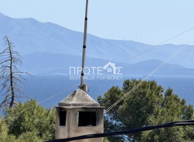 /international/gr/rafina-attica-310108317536/