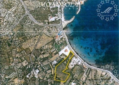 /international/gr/achlia-peloponnese-western-greece-and-ionian-120082185476/?lang=it