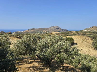 /international/gr/mariou-crete-310104250781/