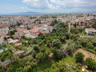 /international/gr/kalamata-peloponnese-western-greece-and-ionian-310108243827/