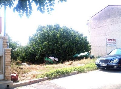 /international/gr/chalkidiki-makedonia-thrace-310103785451/