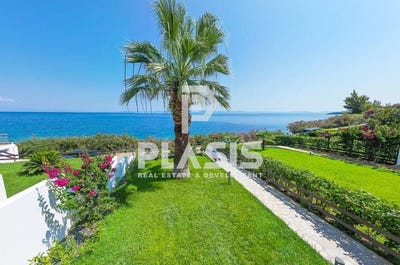 /international/gr/paliouri-macedonia-thrace-310101155694/?lang=en