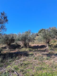 /international/gr/corfu-peloponnese-western-greece-and-ionian-310109146427/