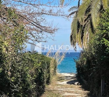 /international/gr/polychrono-macedonia-thrace-310108871152/