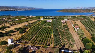 /international/gr/petrothalassa-ermionis-peloponnese-western-greece-and-ionian-120096536429/
