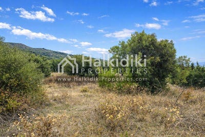 /international/gr/kassandra-macedonia-thrace-310108870414/