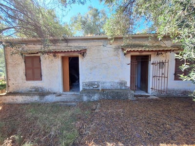 /international/gr/agios-pantaleimonas-peloponnese-western-greece-and-ionian-310101487038/