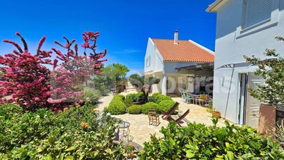 /international/gr/schinolakka-peloponnese-western-greece-and-ionian-310100058266/