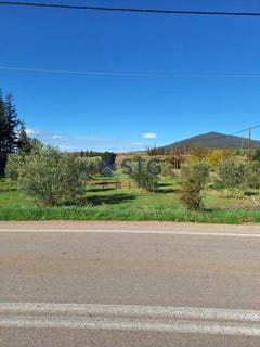 /international/gr/central-macedonia-310108632151/
