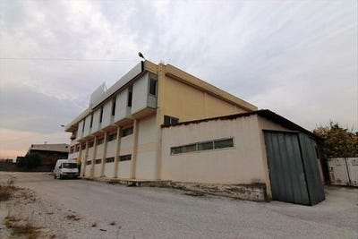 /international/gr/oreokastro-macedonia-thrace-310103788878/