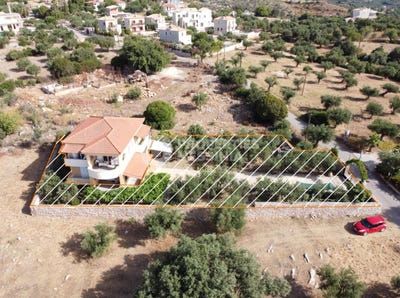 /international/gr/livadakia-peloponnese-western-greece-and-ionian-310100142638/