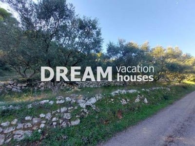 /international/gr/zakinthos-nisos-ionioi-nisoi-120095663035/