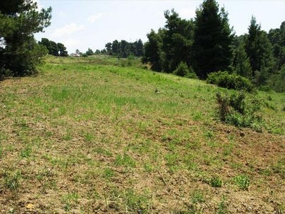 /international/gr/kassandra-macedonia-thrace-310103785304/