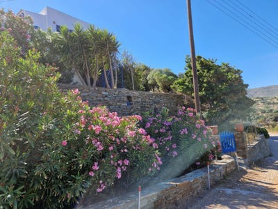 /international/gr/aegean-islands-katakoilos-andros-aegean-310106458860/