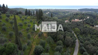 /international/gr/agios-spyridon-almiros-vasilika-perithias-corfu-peloponnese-western-greece-and-ionian-310108833277/