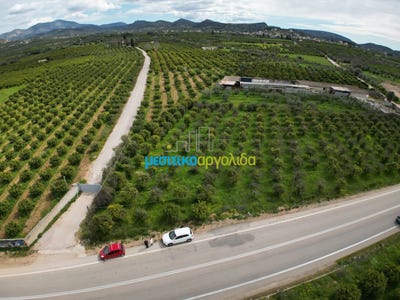 /international/gr/nea-tiryntha-peloponnese-western-greece-and-ionian-310108944443/