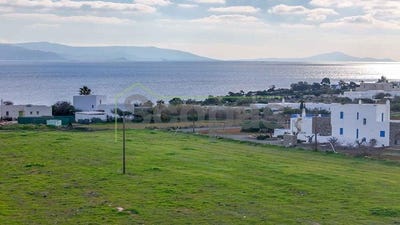 /international/gr/ampelas-aegean-310107240287/