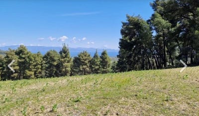 /international/gr/paliouri-macedonia-thrace-310109022640/?lang=pt