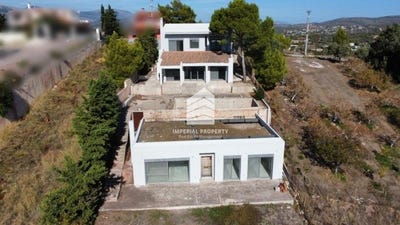 /international/gr/agios-dimitrios-attica-310105791685/