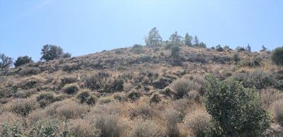 /international/gr/kamilari-crete-310120125211/