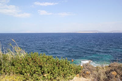 /international/gr/aegina-attica-310108465644/